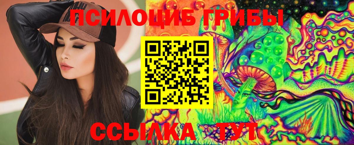 Псилоцибиновые грибы Psilocybine cubensis Шарыпово