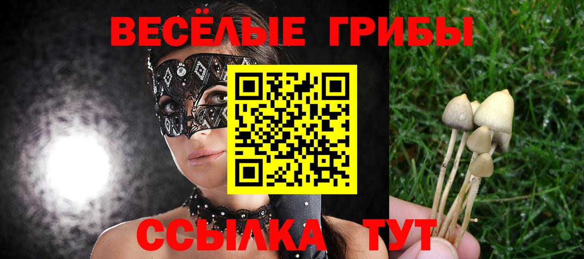 Шарыпово  Псилоцибиновые грибы Psilocybine cubensis  Вход с VPN 